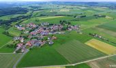 Tocht Te voet Steinau an der Straße - Ulmbach - Rundwanderweg US - Photo 1