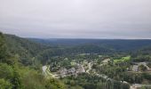 Tocht Stappen Vresse-sur-Semois - rando laforêt 23-08-2024 - Photo 10