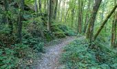 Trail Walking Étréchy - Forêt Régionale d'Etrechy - Photo 7