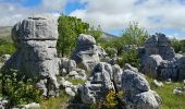 Trail Walking Courmes - puy tourettes - Photo 1