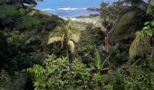 Tocht Stappen La Trinité - La Breche Granjean-Morne Pavillon en boucle  - Photo 4