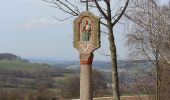 Trail On foot Poppenhausen - Poppenhausen - Rhön-Rundweg 1 - Photo 5