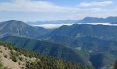 Tour Wandern Verdaches - VERDACHE Tour de Gareous , pâturages du Blayeul n - Photo 11