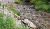 Excursión Senderismo La Bresse - BREITSOUZE - DE LA SOURCE DE LA MOSELOTTE AU LAC DE LA LANDE - Photo 5