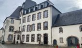 Tour Wandern Wiltz - 89.401 Wiltz - Circuit Ville Haute - Photo 8