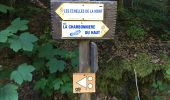 Tour Wandern Charquemont - Échelles de la mort - Photo 2