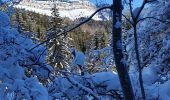 Trail Snowshoes Villard-de-Lans - Vercors La Fauge les Clots  - Photo 5