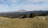 Tour Zu Fuß Saint-Agnan-en-Vercors - Montagne de beurre: Pré Peyret - Photo 6