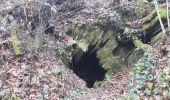 Tour Zu Fuß Bièvre - Se mouvoir et s'émouvoir au gré de l'Ardenne insoupçonnée. Parcours complet - Photo 14