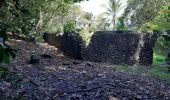 Randonnée Marche Le Lorrain - La Crabiere Vive - Savane La Pointe - Photo 2