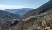Tour Wandern Saint-Léger - Tete de Pibossan Col de Roua depuis ST Leger - Photo 6