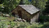 Trail On foot Valstrona - IT-Z11 - Photo 4