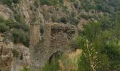 Randonnée Marche Rodès - Rodes, Gorges de la Guillera  - Photo 17