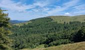 Tour Wandern Stoßweier - Le col de la Schlucht lac de la Lande - Photo 8