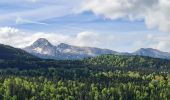 Tour Wandern Villard-de-Lans - Villard de Lans - Balcons et falaises de la Bourne - panorama  - Photo 19