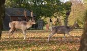 Tour Wandern Herve - 20221031 - Chaineux 7.4 Km - Photo 3