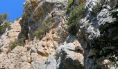 Tour Wandern La Palud-sur-Verdon - La palud sur Verdon - Photo 7