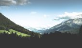 Tour Zu Fuß Ramsau bei Berchtesgaden - Wanderweg 71 (Rund um den Taubensee) - Photo 4