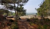 Tour Wandern Noisy-sur-École - Sentier des 25 bosses (1ère moitié) - Photo 7