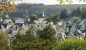 Tocht Te voet Freudenberg - Freudenberg Rundweg A5 - Photo 3