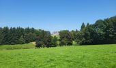 Trail Walking Ciney - Conjoux 300724 - Photo 10