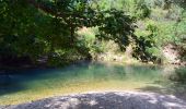 Tocht Stappen Correns - Le patrimoine - l'Argens - Le village - Photo 18