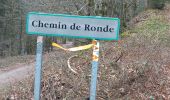 Tour Wandern Hadol - hadol mp 2023 - Photo 1