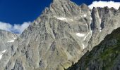 Tocht Te voet Kandersteg - Gfelalp - Lötschenpass - Photo 9