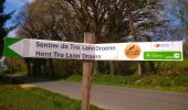 Randonnée Marche Plounérin - Tro Lann Droenn - Photo 1