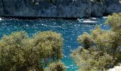 Randonnée Marche Marseille - Calanques  - Photo 1