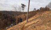 Randonnée Marche Hamoir - trek GR57 jour 4 : Hamoir - Bomal-sur-Ourthe - Photo 10