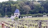 Tour Wandern Bellevigne-les-Châteaux - BELLEVIGNE LES CHÂTEAUX / BRÉZÉ: 1-2-3 CHÂTEAUX - Photo 2