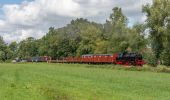 Tour Zu Fuß Apeldoorn - Loenense Enkenpad - Photo 7