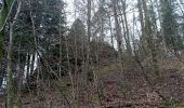 Trail Walking Baerenthal - schmalenthal, bannstein, hammerschless - Photo 10