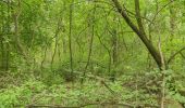 Tocht Te voet Lübben (Spreewald) - Wanderweg Radensdorf-Polenzschenke-Burg - Photo 8