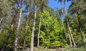 Tour Wandern Sainte-Sigolène - ste sigolene - boucle de vaubarlet - Photo 4