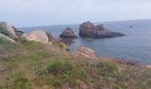 Trail Walking Perros-Guirec - PLOUMANAC DEP. RUE ST GUIREC - Photo 14