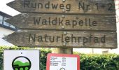 Tocht Te voet Emmelshausen - Hunsrückbahn-Wanderweg - Photo 4