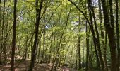 Tour  Érezée - Fanzel - Photo 10