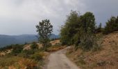 Excursión Senderismo Montferrer - Montferrer . El Castel . Puig de Vilafort -  retour par la piste  - Photo 4