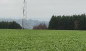 Tour Wandern La Roche-en-Ardenne - rando warempage 10/12/2020 - Photo 5