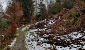 Trail Walking Monschau - 2021-12-01_19h44m48_804 - Photo 6