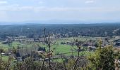 Trail Walking Aups - Aups - Grottes et Chapelles - Photo 20