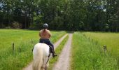 Trail Horseback riding Falck - Falck - Forêt de la Houve - Photo 5
