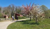 Tour Zu Fuß Bourron-Marlotte - Boucle 30 km Bourron Marlotte - Montigny/ Loing / Grez - Photo 9