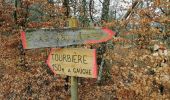 Trail Walking Peyrelevade - Fred puy d auroc - Photo 5