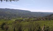 Tocht Stappen Saint-Chély-d'Aubrac - Compostelle St chely St come d'olt - Photo 1