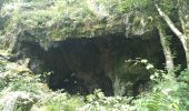 Excursión Senderismo Sentheim - Sentheim - Col du Schirm - Buissonniers - Kohlberg - Photo 10