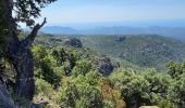 Excursión Senderismo Fréjus - Mont Vinaigre variante - Photo 2