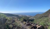 Randonnée Marche Santiago del Teide - Puerto de Santiago et chemin de Compostel  - Photo 5